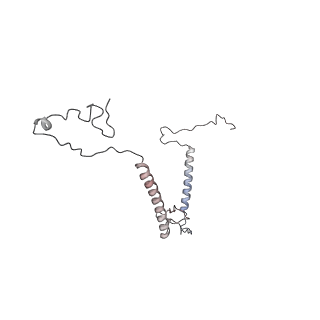 0955_6lqv_5D_v1-1
Cryo-EM structure of 90S small subunit preribosomes in transition states (State C1)
