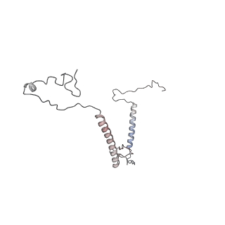 0955_6lqv_5D_v1-2
Cryo-EM structure of 90S small subunit preribosomes in transition states (State C1)