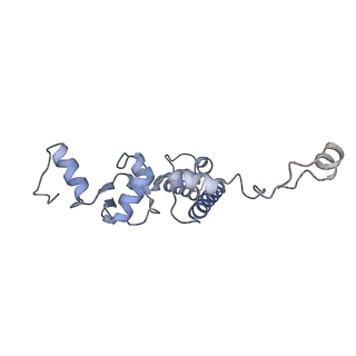 0955_6lqv_5F_v1-1
Cryo-EM structure of 90S small subunit preribosomes in transition states (State C1)