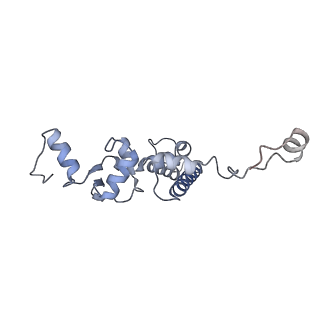 0955_6lqv_5F_v1-2
Cryo-EM structure of 90S small subunit preribosomes in transition states (State C1)