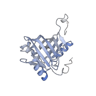 0955_6lqv_5G_v1-1
Cryo-EM structure of 90S small subunit preribosomes in transition states (State C1)
