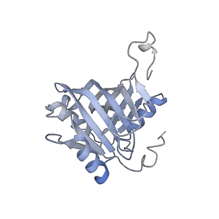 0955_6lqv_5G_v1-2
Cryo-EM structure of 90S small subunit preribosomes in transition states (State C1)