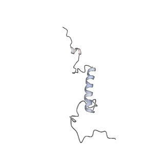 0955_6lqv_5H_v1-1
Cryo-EM structure of 90S small subunit preribosomes in transition states (State C1)