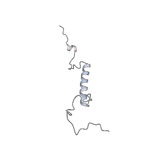 0955_6lqv_5H_v1-2
Cryo-EM structure of 90S small subunit preribosomes in transition states (State C1)