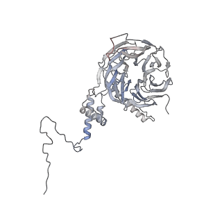 0955_6lqv_5I_v1-1
Cryo-EM structure of 90S small subunit preribosomes in transition states (State C1)