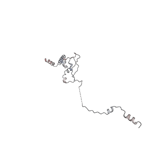 0955_6lqv_5J_v1-2
Cryo-EM structure of 90S small subunit preribosomes in transition states (State C1)