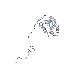 0955_6lqv_5K_v1-1
Cryo-EM structure of 90S small subunit preribosomes in transition states (State C1)