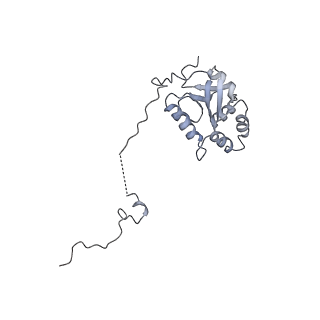 0955_6lqv_5K_v1-2
Cryo-EM structure of 90S small subunit preribosomes in transition states (State C1)