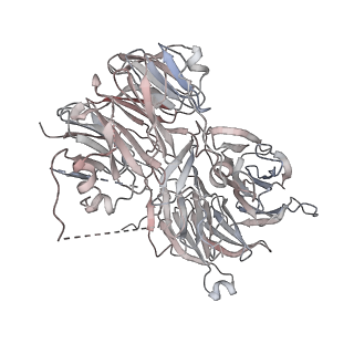 0955_6lqv_A4_v1-2
Cryo-EM structure of 90S small subunit preribosomes in transition states (State C1)