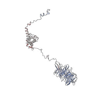 0955_6lqv_A5_v1-1
Cryo-EM structure of 90S small subunit preribosomes in transition states (State C1)