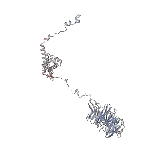 0955_6lqv_A5_v1-2
Cryo-EM structure of 90S small subunit preribosomes in transition states (State C1)