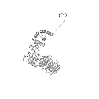 0955_6lqv_A8_v1-1
Cryo-EM structure of 90S small subunit preribosomes in transition states (State C1)