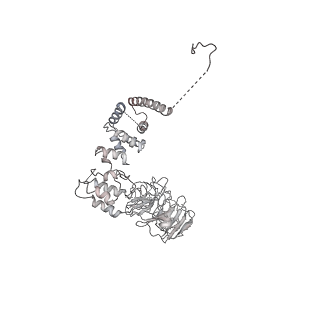 0955_6lqv_A8_v1-2
Cryo-EM structure of 90S small subunit preribosomes in transition states (State C1)