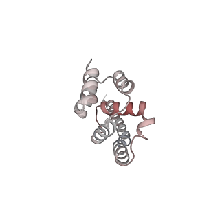 0955_6lqv_A9_v1-1
Cryo-EM structure of 90S small subunit preribosomes in transition states (State C1)