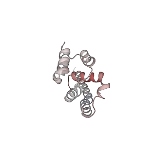 0955_6lqv_A9_v1-2
Cryo-EM structure of 90S small subunit preribosomes in transition states (State C1)