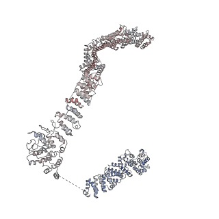0955_6lqv_AE_v1-1
Cryo-EM structure of 90S small subunit preribosomes in transition states (State C1)