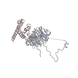 0955_6lqv_AF_v1-1
Cryo-EM structure of 90S small subunit preribosomes in transition states (State C1)