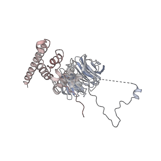 0955_6lqv_AF_v1-2
Cryo-EM structure of 90S small subunit preribosomes in transition states (State C1)