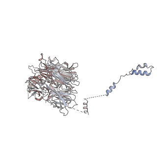 0955_6lqv_AG_v1-1
Cryo-EM structure of 90S small subunit preribosomes in transition states (State C1)