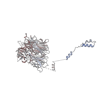 0955_6lqv_AG_v1-2
Cryo-EM structure of 90S small subunit preribosomes in transition states (State C1)