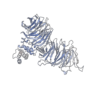 0955_6lqv_B1_v1-1
Cryo-EM structure of 90S small subunit preribosomes in transition states (State C1)