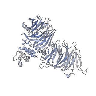 0955_6lqv_B1_v1-2
Cryo-EM structure of 90S small subunit preribosomes in transition states (State C1)