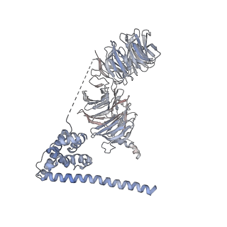 0955_6lqv_B2_v1-1
Cryo-EM structure of 90S small subunit preribosomes in transition states (State C1)