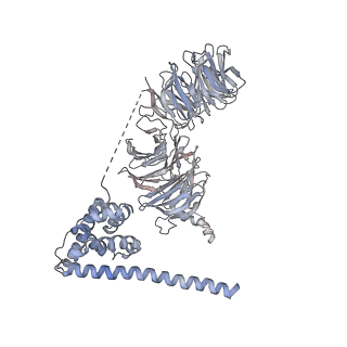 0955_6lqv_B2_v1-2
Cryo-EM structure of 90S small subunit preribosomes in transition states (State C1)