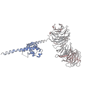 0955_6lqv_B3_v1-1
Cryo-EM structure of 90S small subunit preribosomes in transition states (State C1)