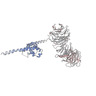 0955_6lqv_B3_v1-2
Cryo-EM structure of 90S small subunit preribosomes in transition states (State C1)