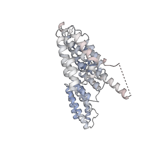 0955_6lqv_B6_v1-1
Cryo-EM structure of 90S small subunit preribosomes in transition states (State C1)