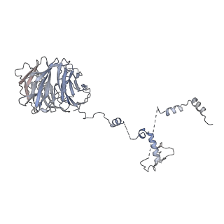 0955_6lqv_B8_v1-1
Cryo-EM structure of 90S small subunit preribosomes in transition states (State C1)