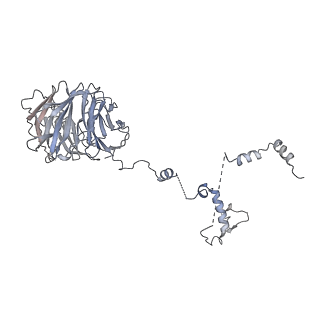 0955_6lqv_B8_v1-2
Cryo-EM structure of 90S small subunit preribosomes in transition states (State C1)