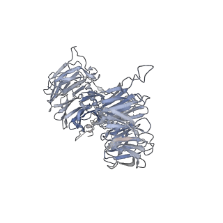 0955_6lqv_BE_v1-2
Cryo-EM structure of 90S small subunit preribosomes in transition states (State C1)