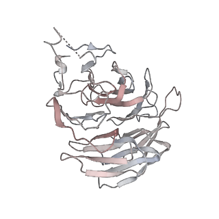 0955_6lqv_RA_v1-1
Cryo-EM structure of 90S small subunit preribosomes in transition states (State C1)