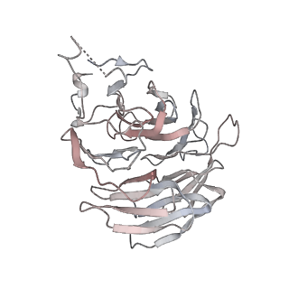 0955_6lqv_RA_v1-2
Cryo-EM structure of 90S small subunit preribosomes in transition states (State C1)