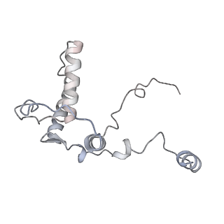 0955_6lqv_RB_v1-1
Cryo-EM structure of 90S small subunit preribosomes in transition states (State C1)