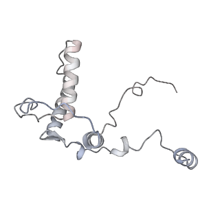 0955_6lqv_RB_v1-2
Cryo-EM structure of 90S small subunit preribosomes in transition states (State C1)