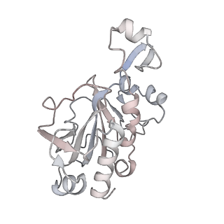 0955_6lqv_RG_v1-1
Cryo-EM structure of 90S small subunit preribosomes in transition states (State C1)