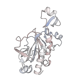 0955_6lqv_RG_v1-2
Cryo-EM structure of 90S small subunit preribosomes in transition states (State C1)