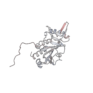 0955_6lqv_RH_v1-1
Cryo-EM structure of 90S small subunit preribosomes in transition states (State C1)