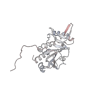 0955_6lqv_RH_v1-2
Cryo-EM structure of 90S small subunit preribosomes in transition states (State C1)