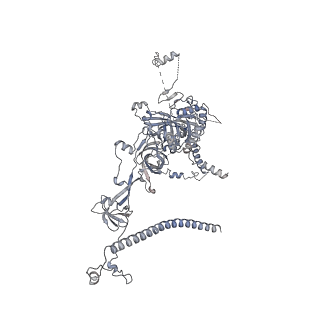 0955_6lqv_RJ_v1-1
Cryo-EM structure of 90S small subunit preribosomes in transition states (State C1)