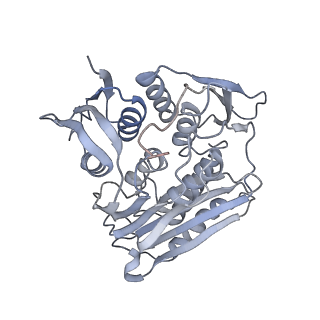 0955_6lqv_RK_v1-1
Cryo-EM structure of 90S small subunit preribosomes in transition states (State C1)