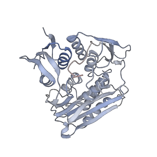 0955_6lqv_RK_v1-2
Cryo-EM structure of 90S small subunit preribosomes in transition states (State C1)