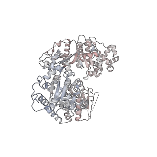 0955_6lqv_RL_v1-2
Cryo-EM structure of 90S small subunit preribosomes in transition states (State C1)