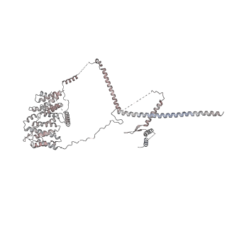 0955_6lqv_RN_v1-1
Cryo-EM structure of 90S small subunit preribosomes in transition states (State C1)