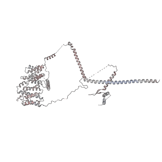 0955_6lqv_RN_v1-2
Cryo-EM structure of 90S small subunit preribosomes in transition states (State C1)