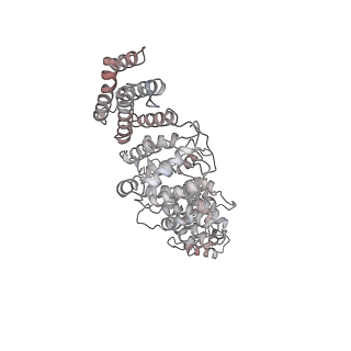 0955_6lqv_RO_v1-1
Cryo-EM structure of 90S small subunit preribosomes in transition states (State C1)