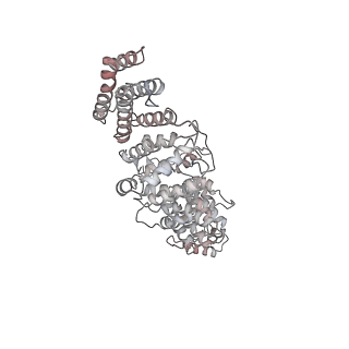 0955_6lqv_RO_v1-2
Cryo-EM structure of 90S small subunit preribosomes in transition states (State C1)